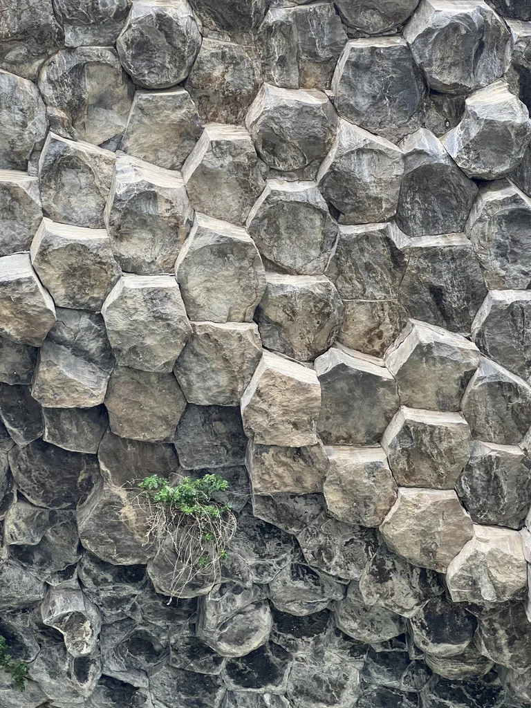 Basalt columns at Garni, with a plant growing from a crack