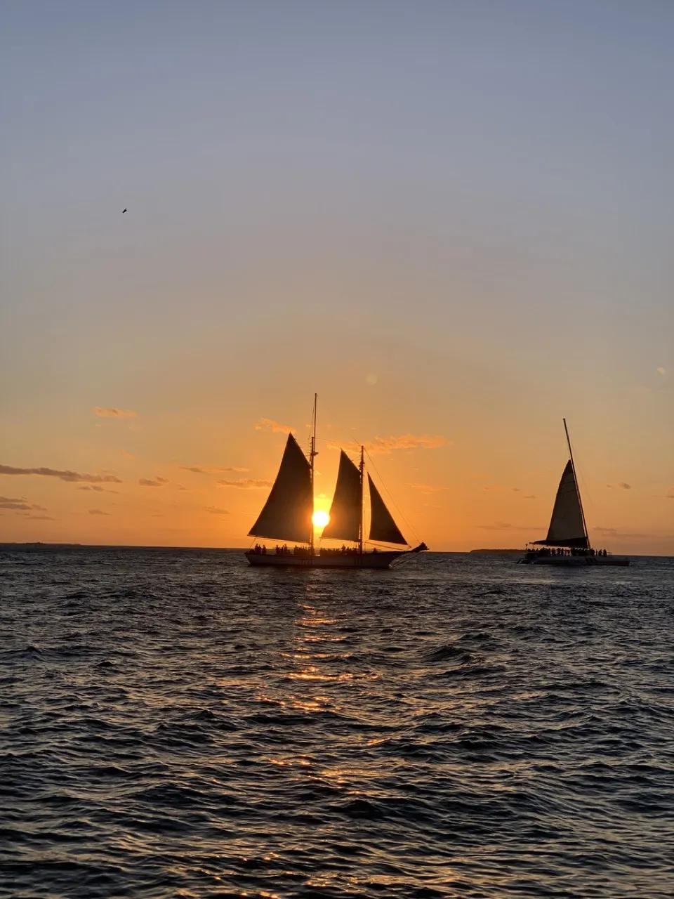 Two sailboats against the sunset off Key West