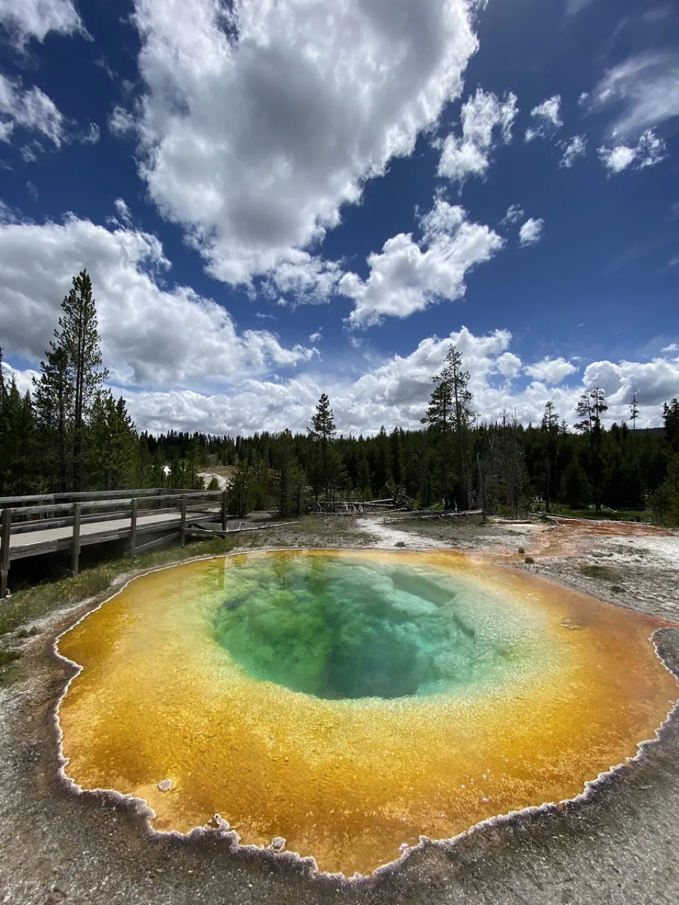 Morning Glory Pool in Yellowstone, its rim yellow and orange around a green center